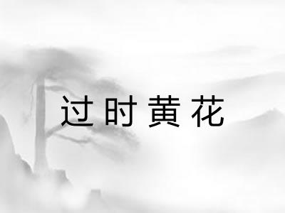 过时黄花