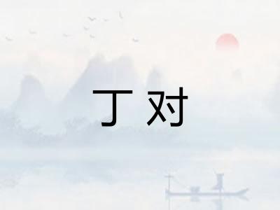 丁对