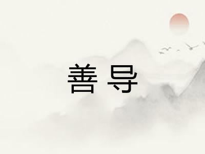 善导
