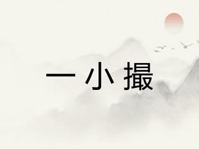 一小撮