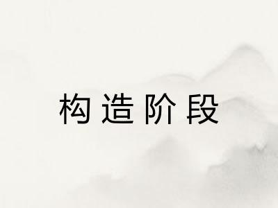 构造阶段