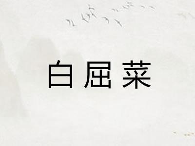 白屈菜