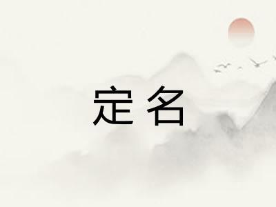 定名