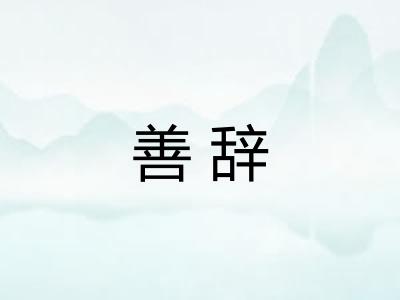 善辞