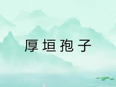 厚垣孢子