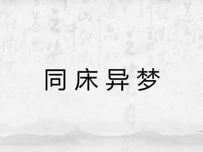 同床异梦