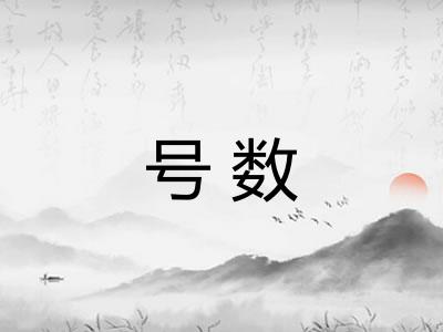 号数