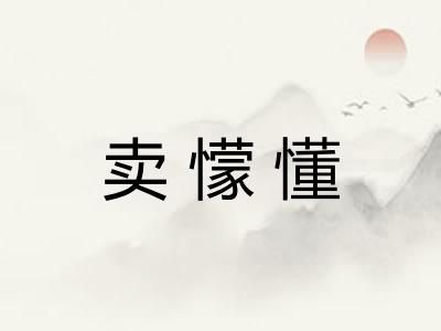 卖懞懂