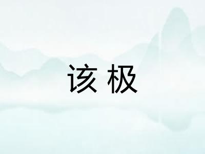 该极