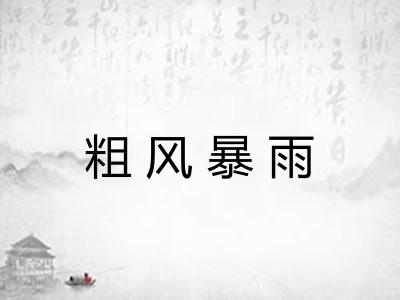 粗风暴雨