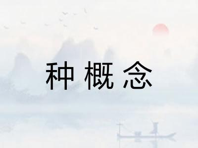 种概念
