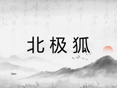 北极狐