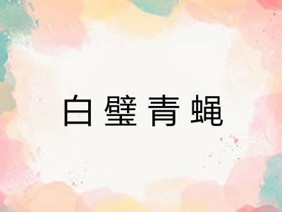 白璧青蝇