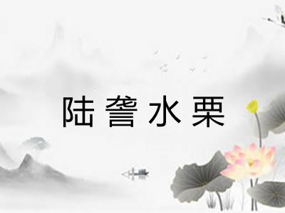 陆詟水栗