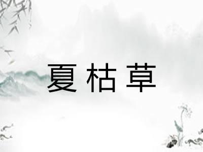夏枯草