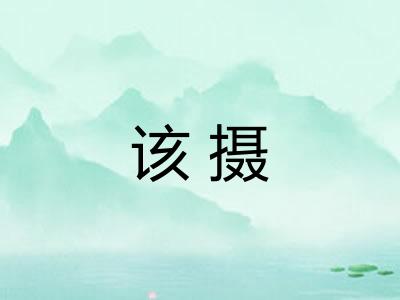 该摄