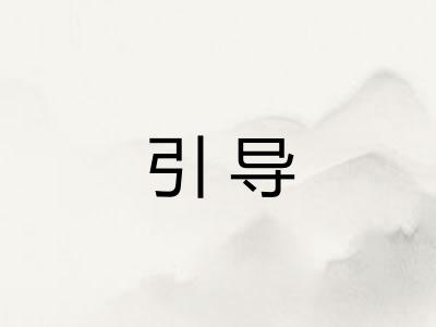 引导