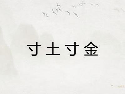 寸土寸金