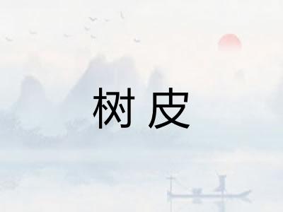 树皮