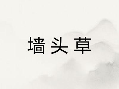 墙头草