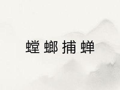 螳螂捕蝉