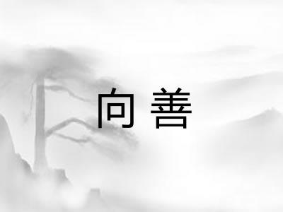 向善