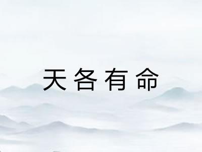 天各有命