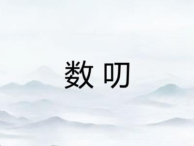 数叨