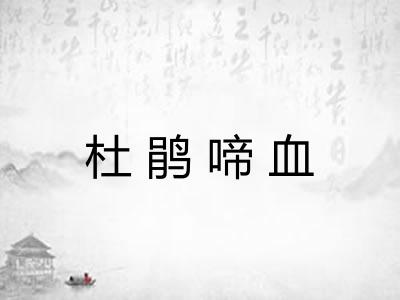 杜鹃啼血