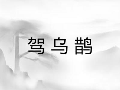 驾乌鹊