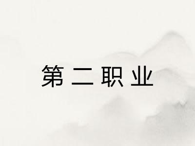 第二职业