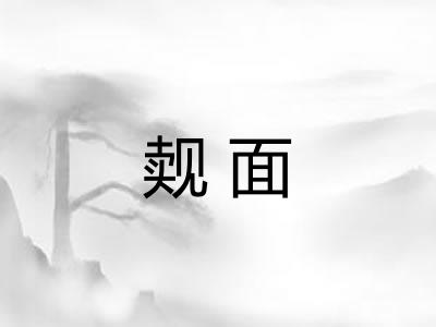 觌面
