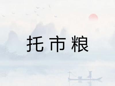 托市粮