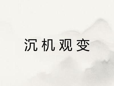 沉机观变