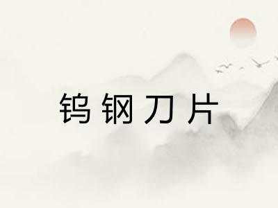 钨钢刀片