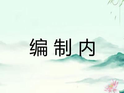 编制内