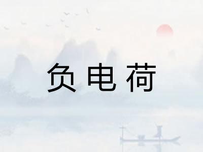 负电荷