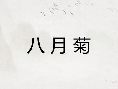 八月菊