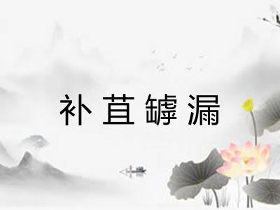补苴罅漏