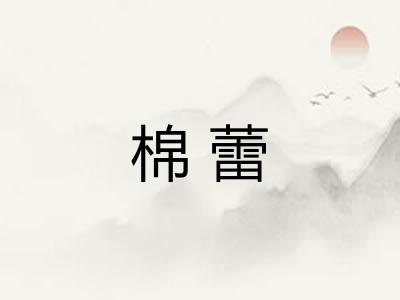 棉蕾