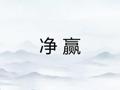 净赢