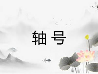 轴号