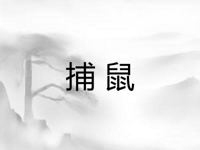 捕鼠