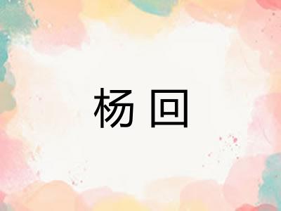 杨回