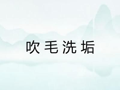 吹毛洗垢