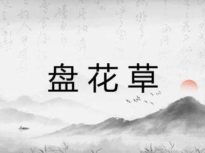 盘花草