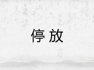 停放
