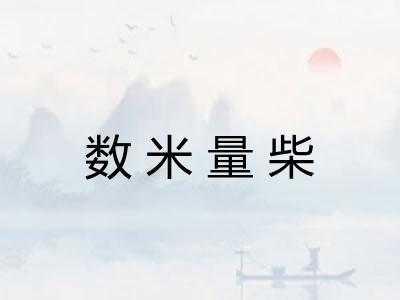 数米量柴