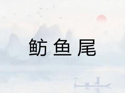 鲂鱼尾