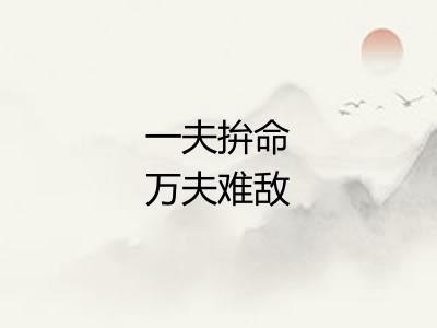 一夫拚命万夫难敌